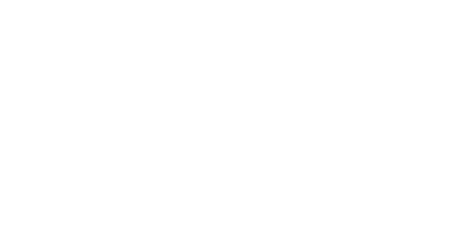 Pink Dolphin logo — Adwow client case study