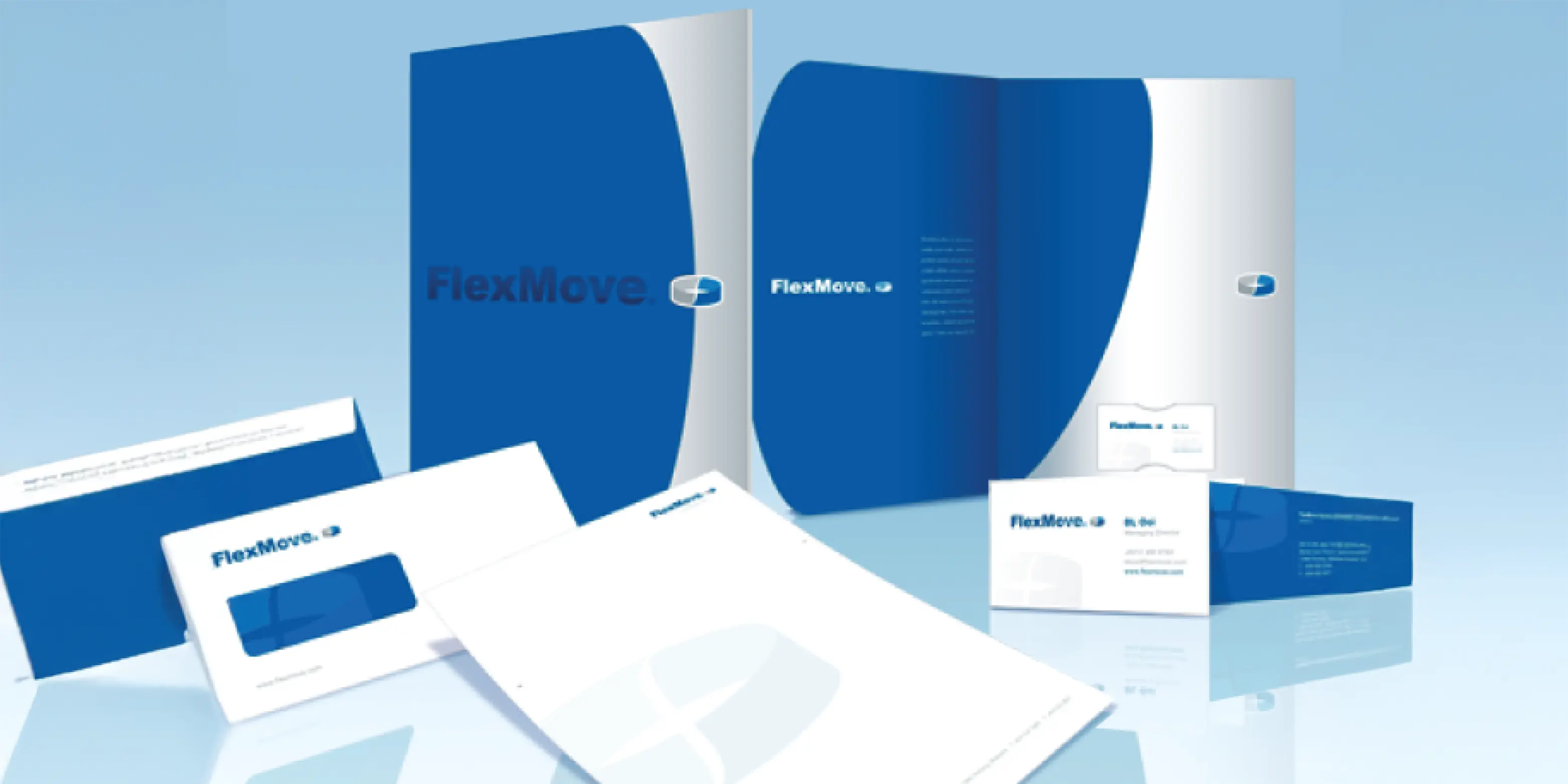 Flexmove global brand identity and architecture system design