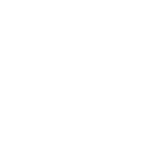 Social media marketing strategy and meta ad management.